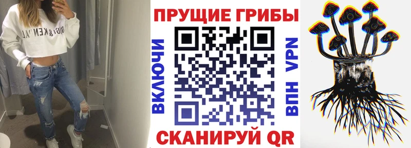 Псилоцибиновые грибы прущие грибы  продажа наркотиков  Окуловка 